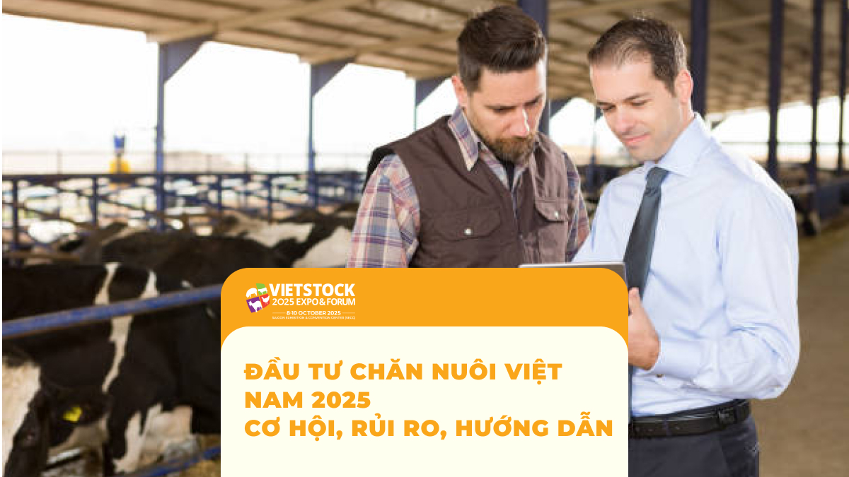 Đầu Tư Chăn Nuôi Việt Nam 2025 Cơ hội, rủi ro, hướng dẫn